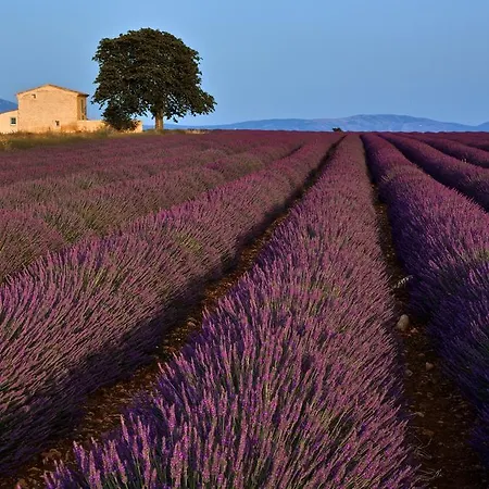 La Maison Des Collines Allemagne-en-Provence