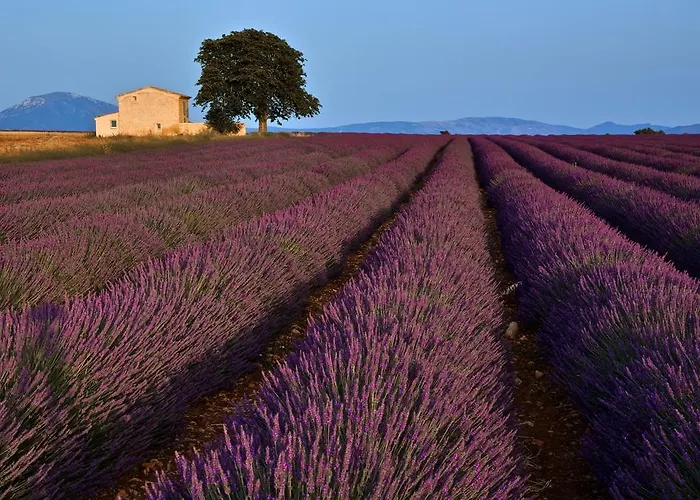 La Maison Des Collines Allemagne-en-Provence