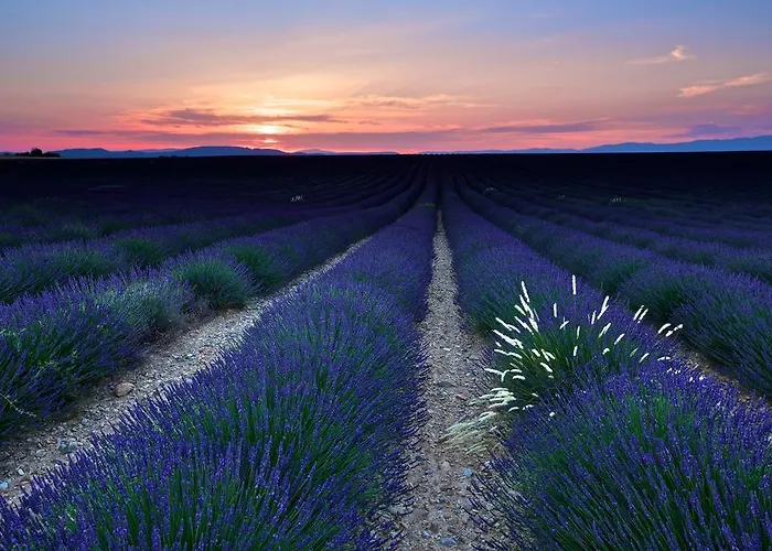 Guest house La Maison Des Collines *